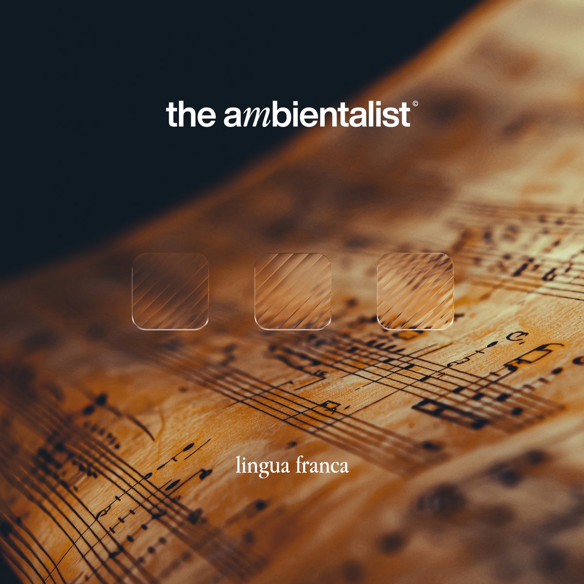 The Ambientalist - Lingua Franca