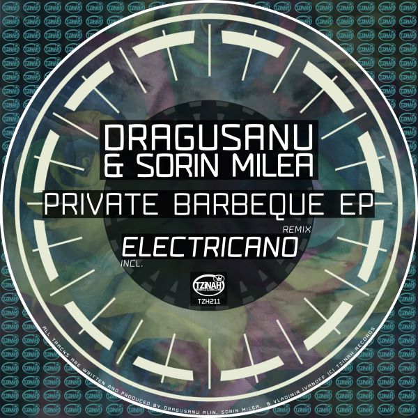 Dragusanu - Any (Electricano Remix)