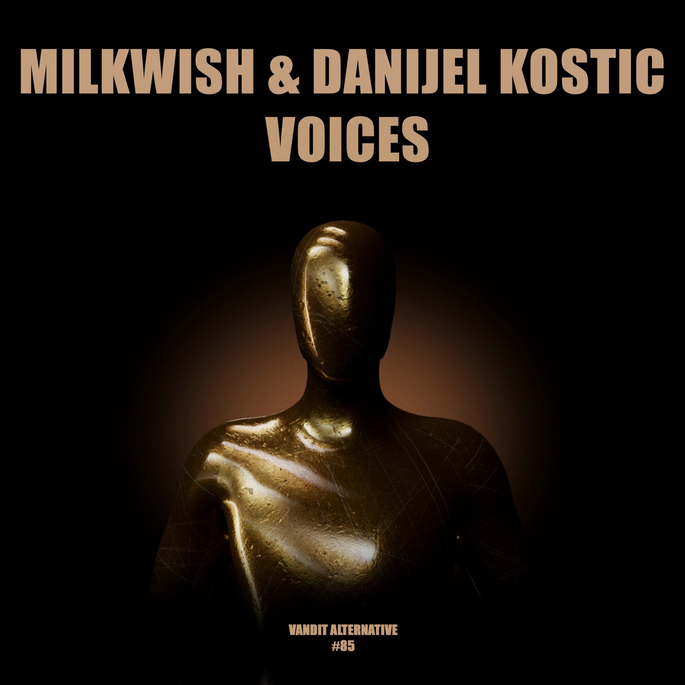 Milkwish, Danijel Kostic - Voices (Extended)