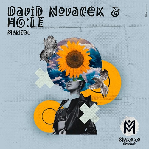 David Novacek, HOLE - Musica (Extended Mix))