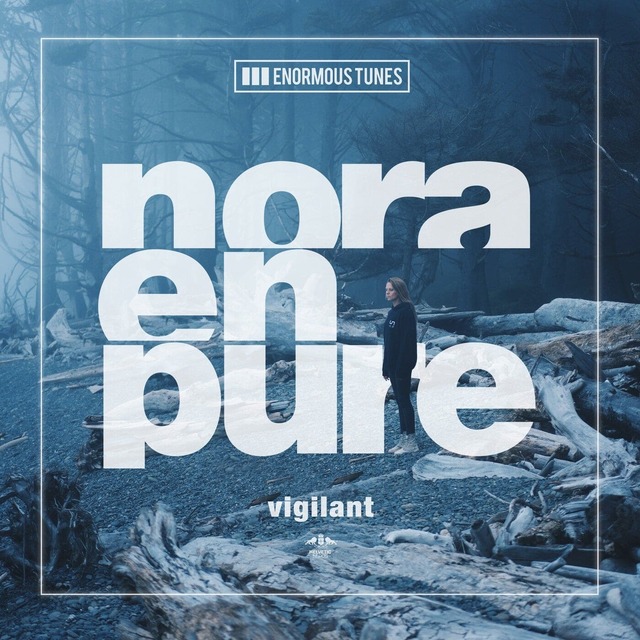 Nora En Pure - Vigilant (Extended Mix)