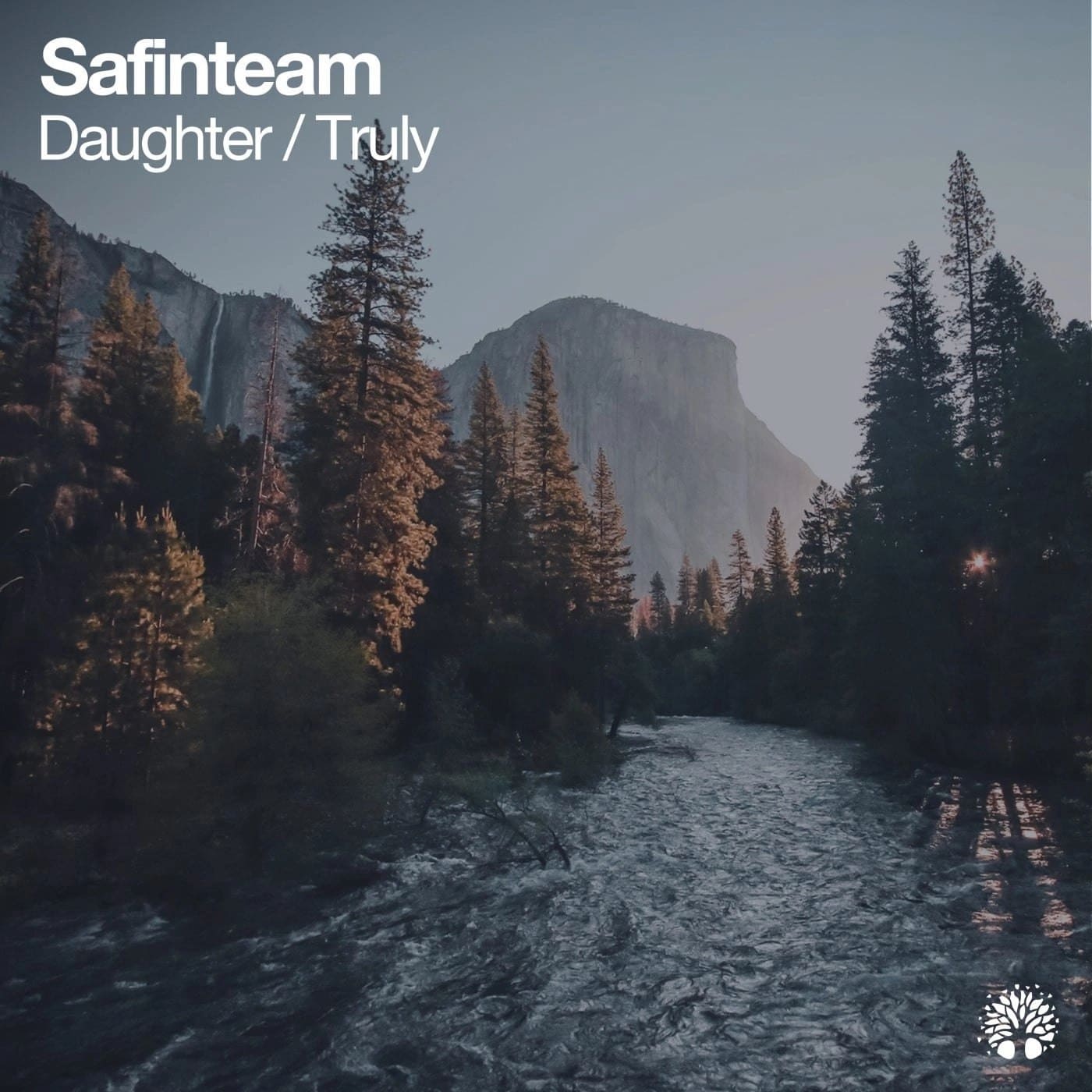 Safinteam - Truly (Original Mix)