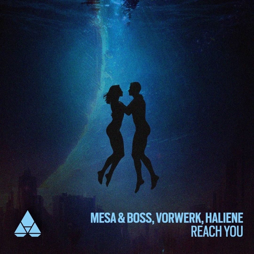 Vorwerk, Boss, Mesa, HALIENE - Reach You (Extended Mix)