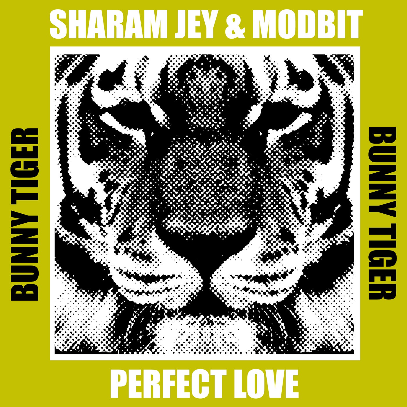 Sharam Jey, MODBIT - Perfect Love (Extended Mix)