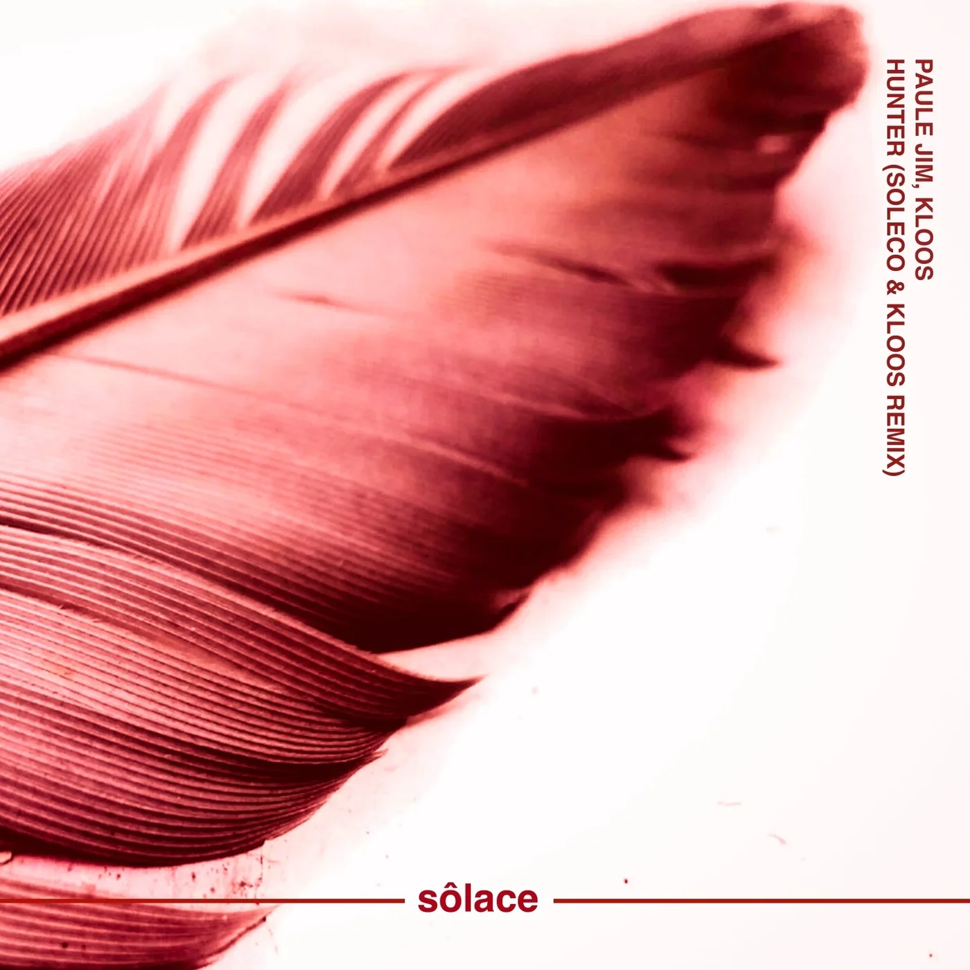 Paule Jim - Hunter (Soleco & Kloos Extended)
