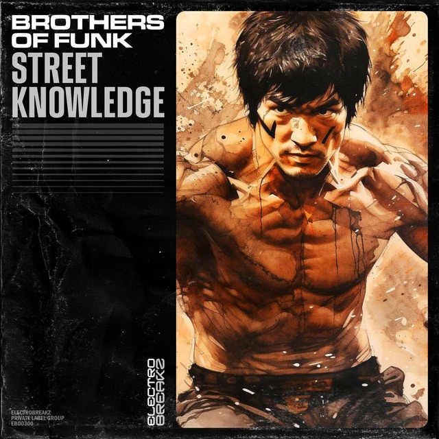 Brothers Of Funk - Street Knowledge (Original Mix)