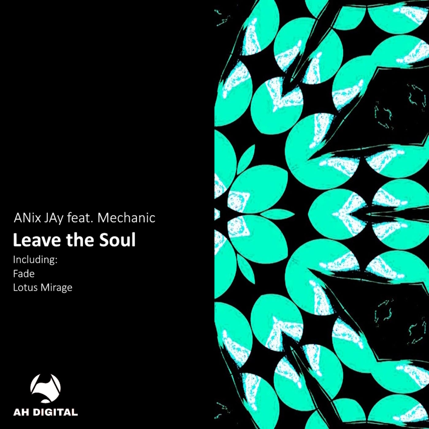 ANix JAy - Leave the Soul (Original Mix)