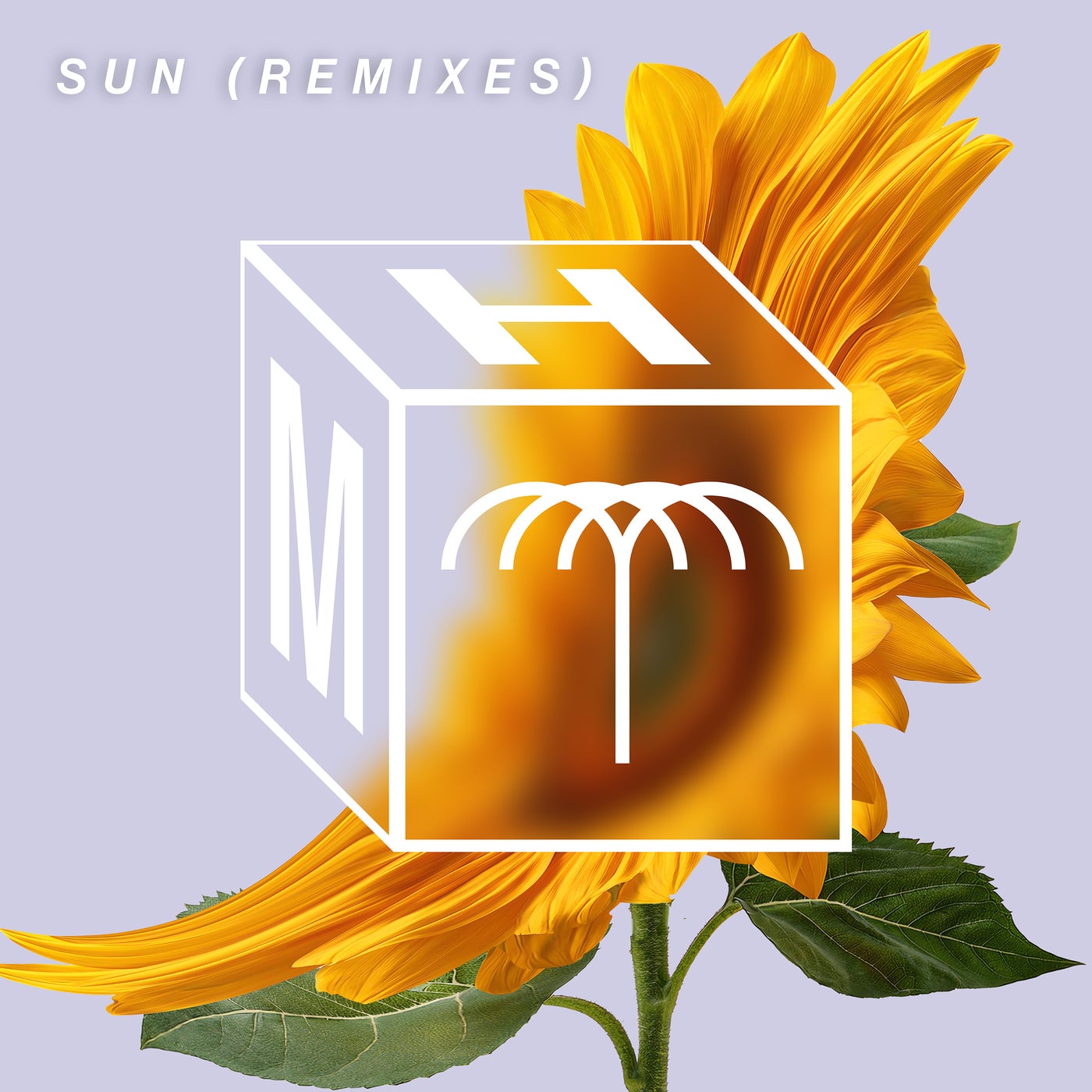 Mita Gami - Sun (Rafael Extended Remix)