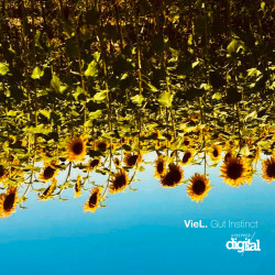 VieL - Gut Instinct
