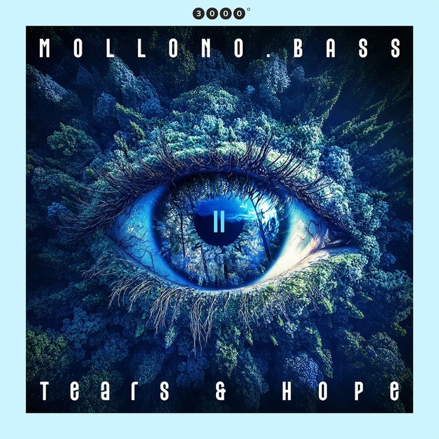 Mollono.Bass, Andy's Echo - Lost (Original Mix)