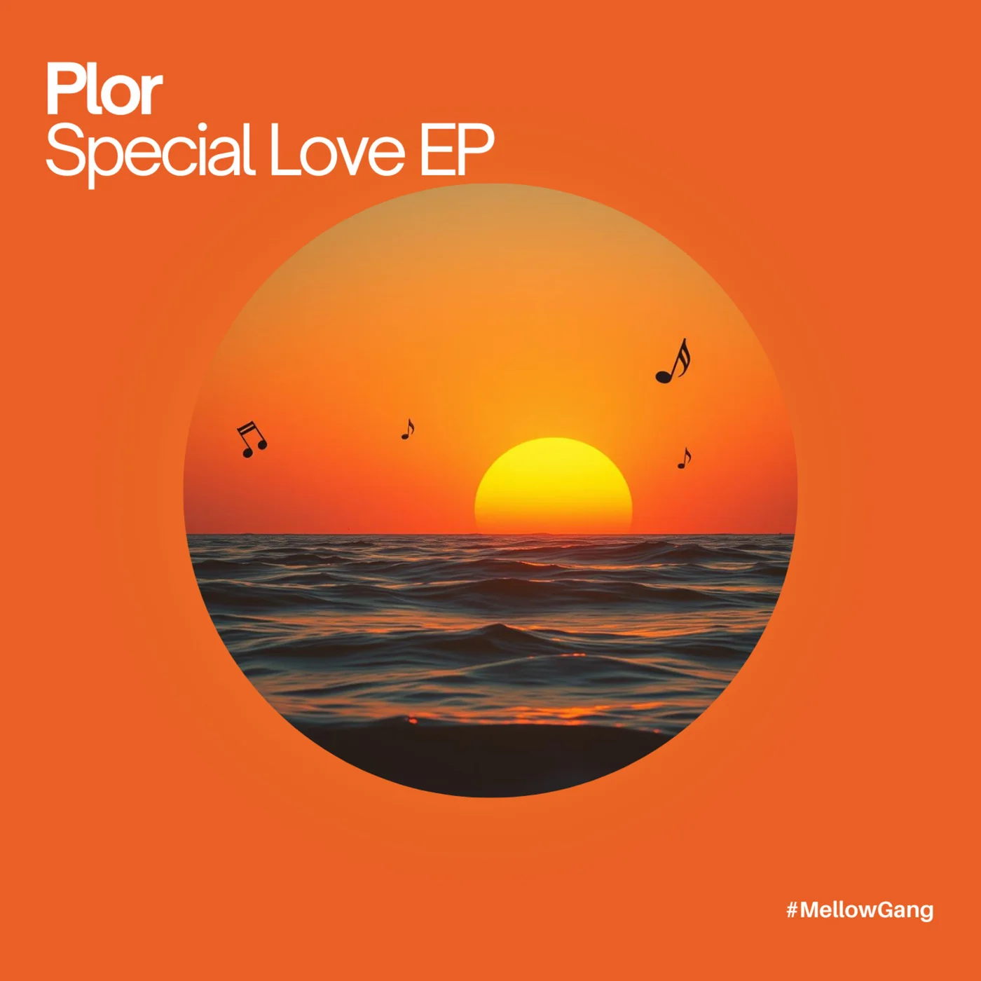 Plor - Special Love (Original Mix)