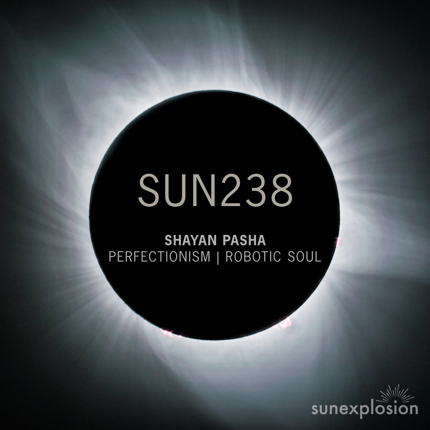 Shayan Pasha - Perfectionis (Original Mix)