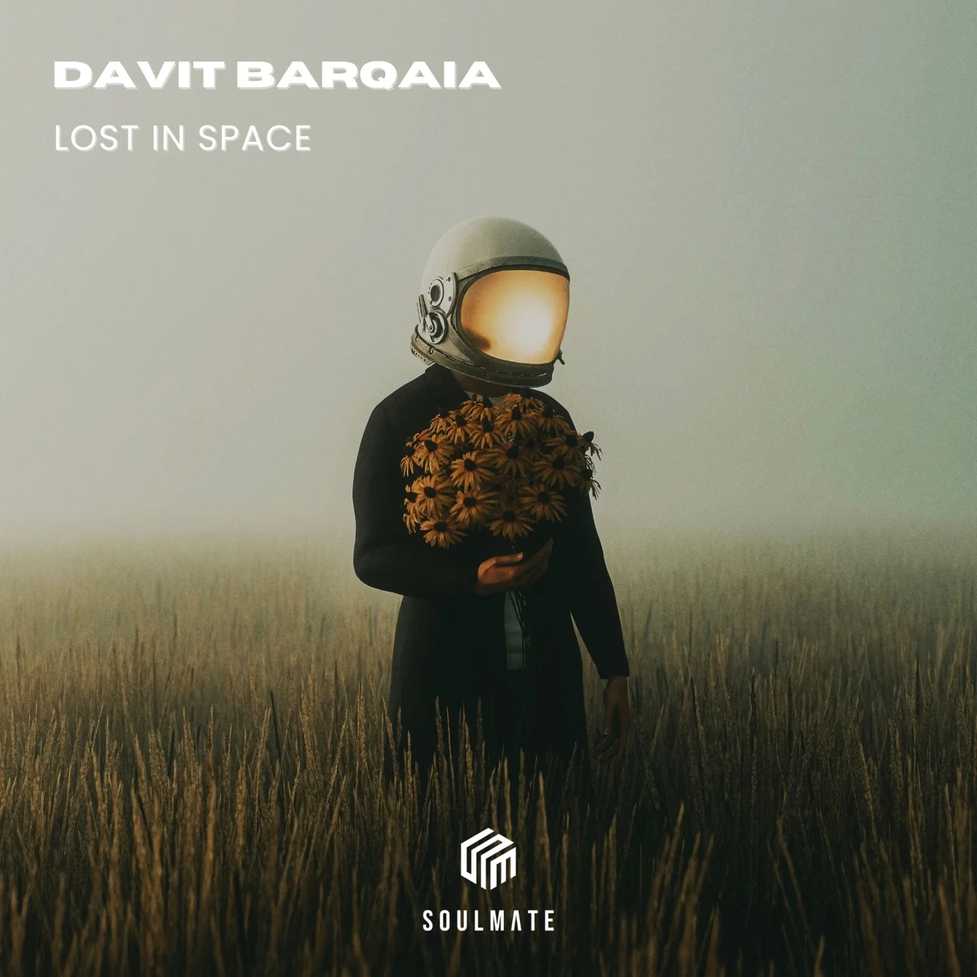 Davit Barqaia - Lost In Space (Original Mix)