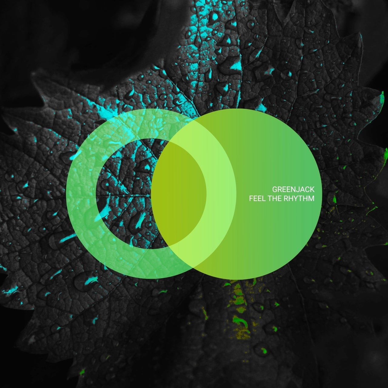 Greenjack - Feel the Rhythm (Original Mix)