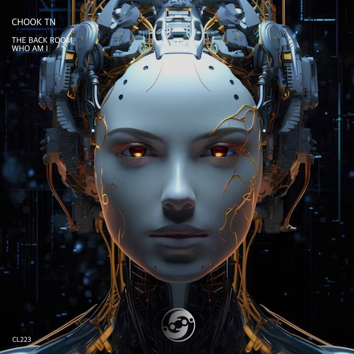 Chook TN - The Back Room (Original Mix)