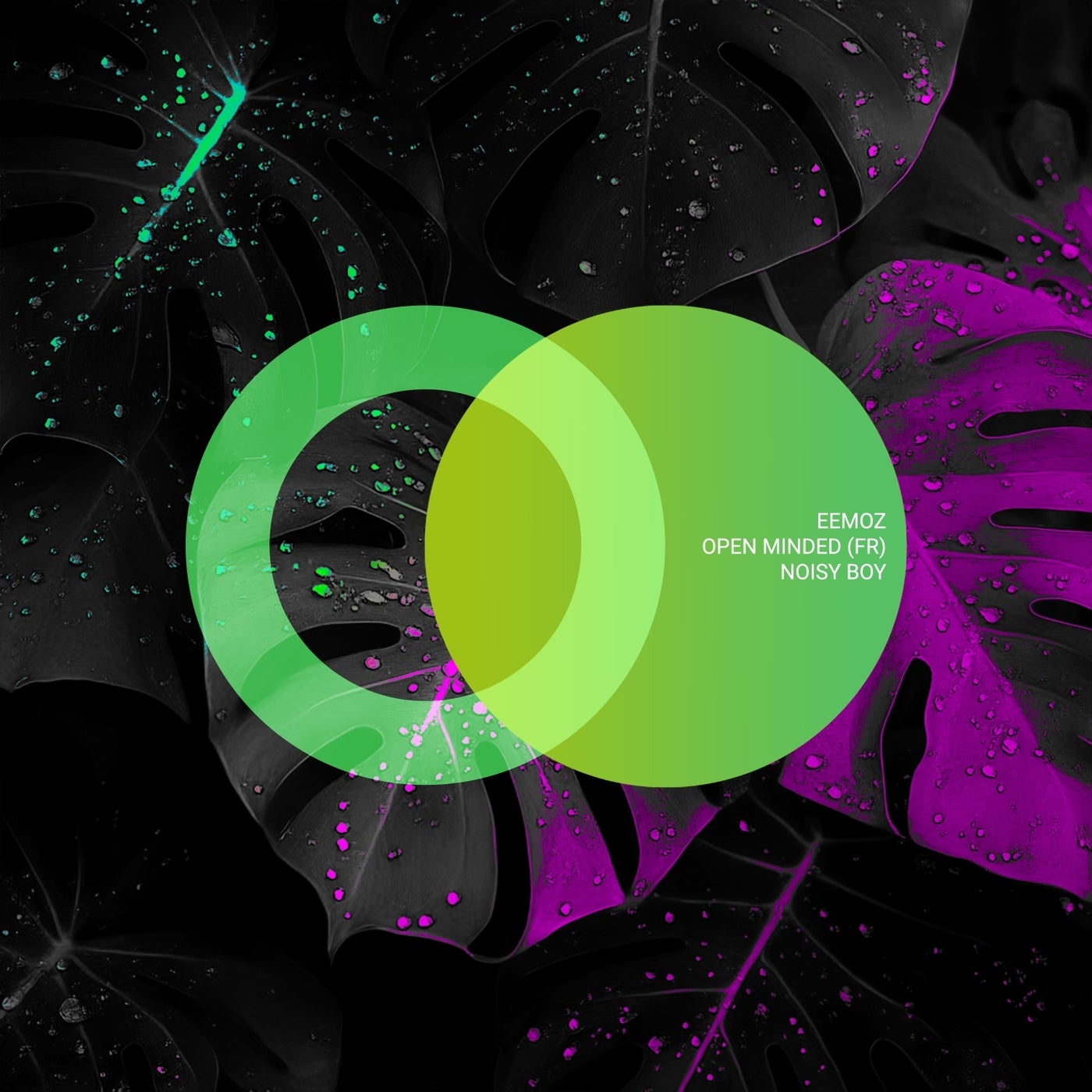 Open Minded (FR) & Eemoz - Noisy Boy (Original Mix)
