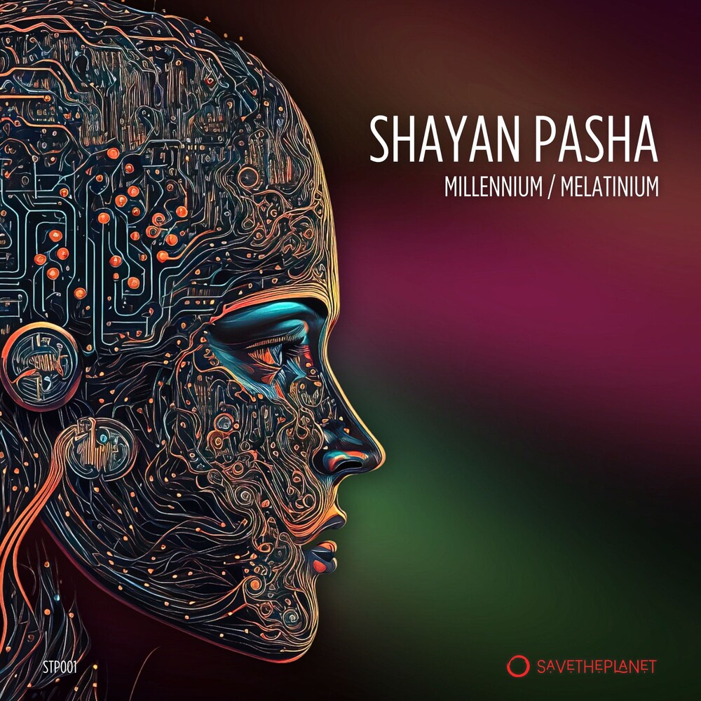 Shayan Pasha - Millennium (Original Mix)
