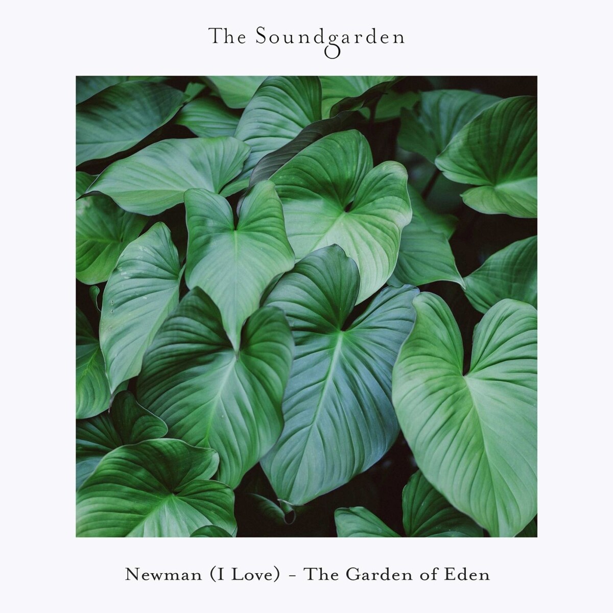 Newman (I Love) - Strawberry Moon (Extended Mix)