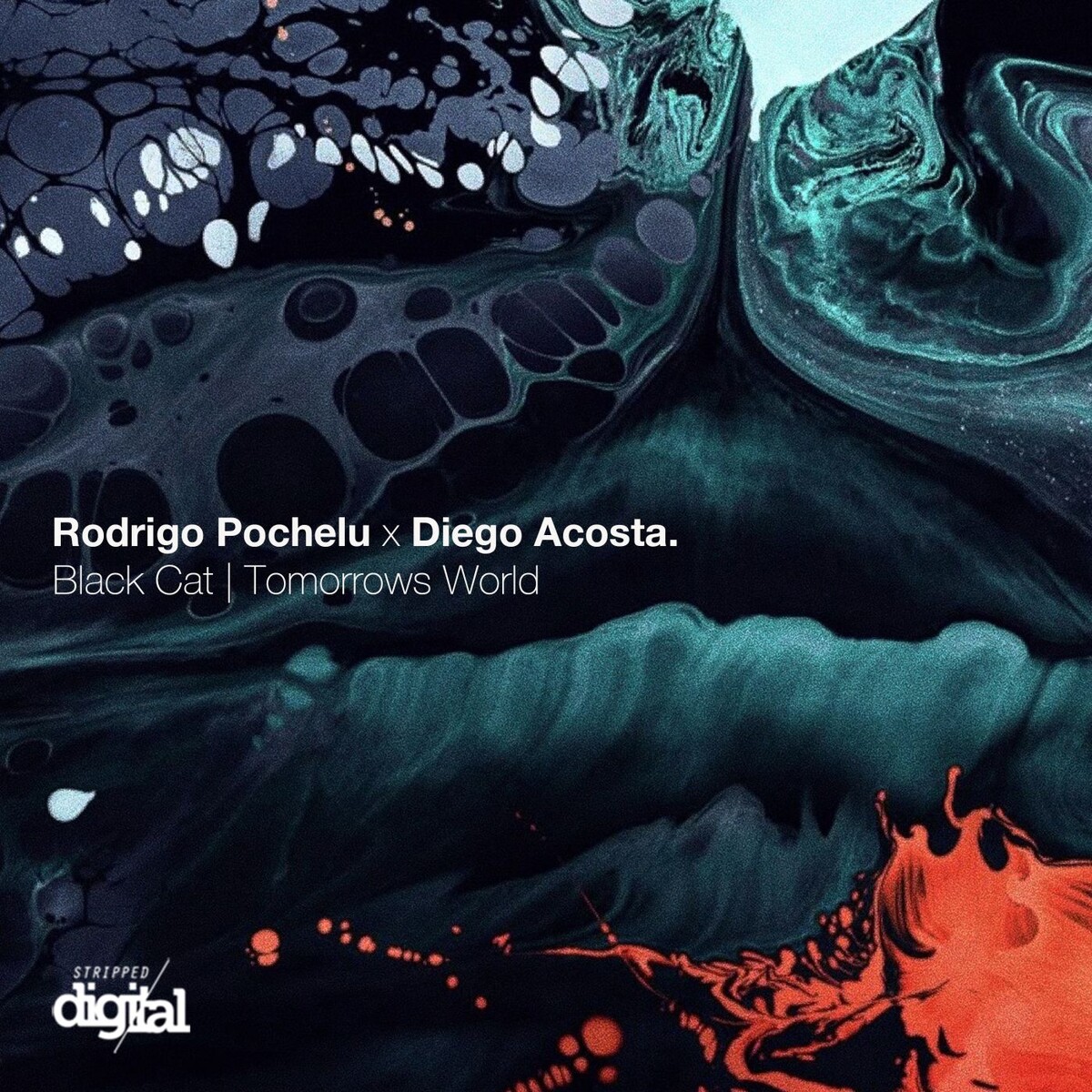 Rodrigo Pochelu - Black Cat (Original Mix)