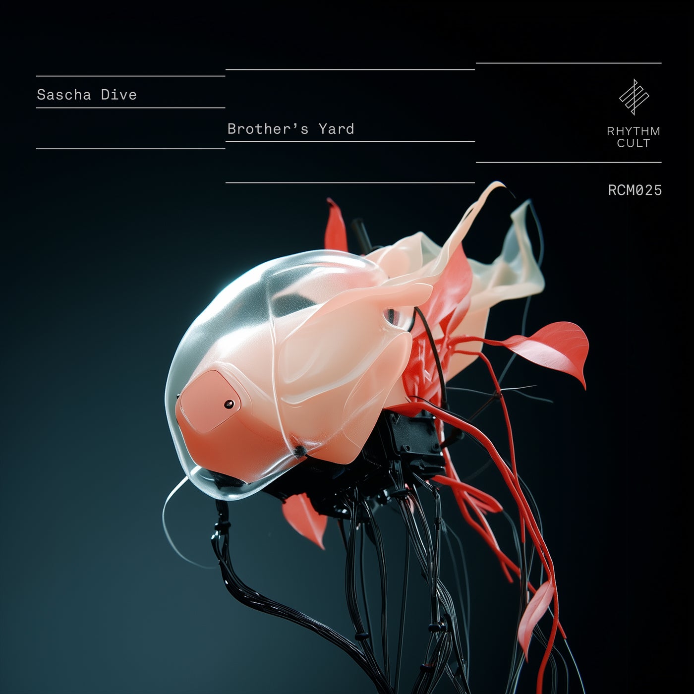 Sascha Dive - Brother's Yard (Tribal American 2025 Version)