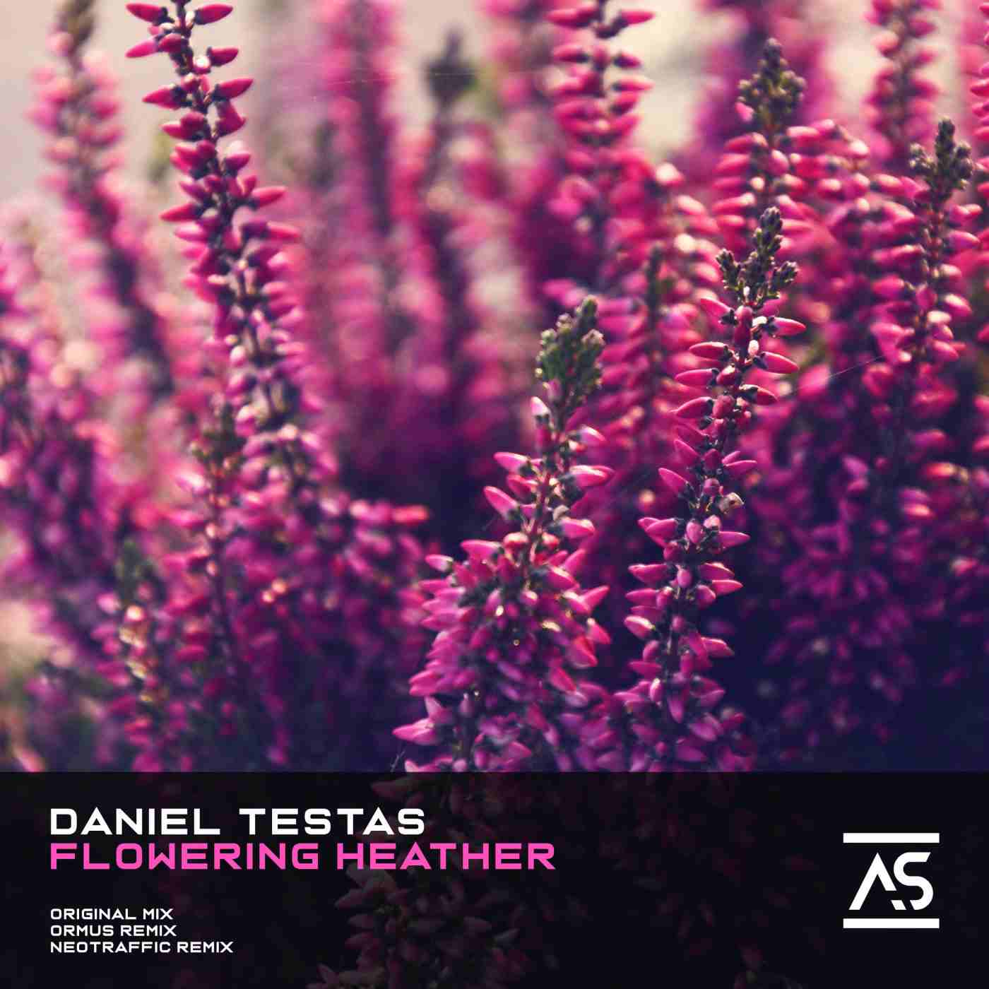Daniel Testas - Flowering Heather (Ormus Extended Remix)