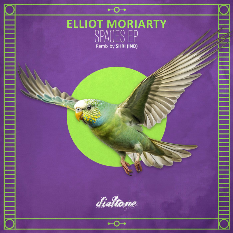 Elliot Moriarty - Spaces (Shri IND Remix)