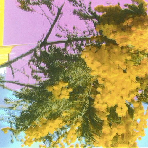 Four Tet - Into Dust (Still Falling) (Extended Mix)