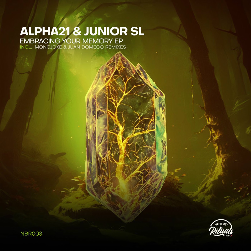 ALPHA21, JUNIOR (SL) - Pulse of Destiny (Original Mix)