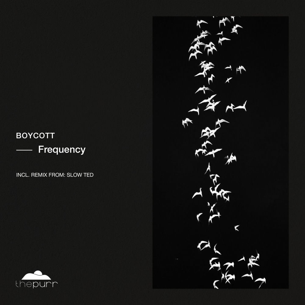 Boycott, Slow Ted - Frequency (Slow Ted Remix)