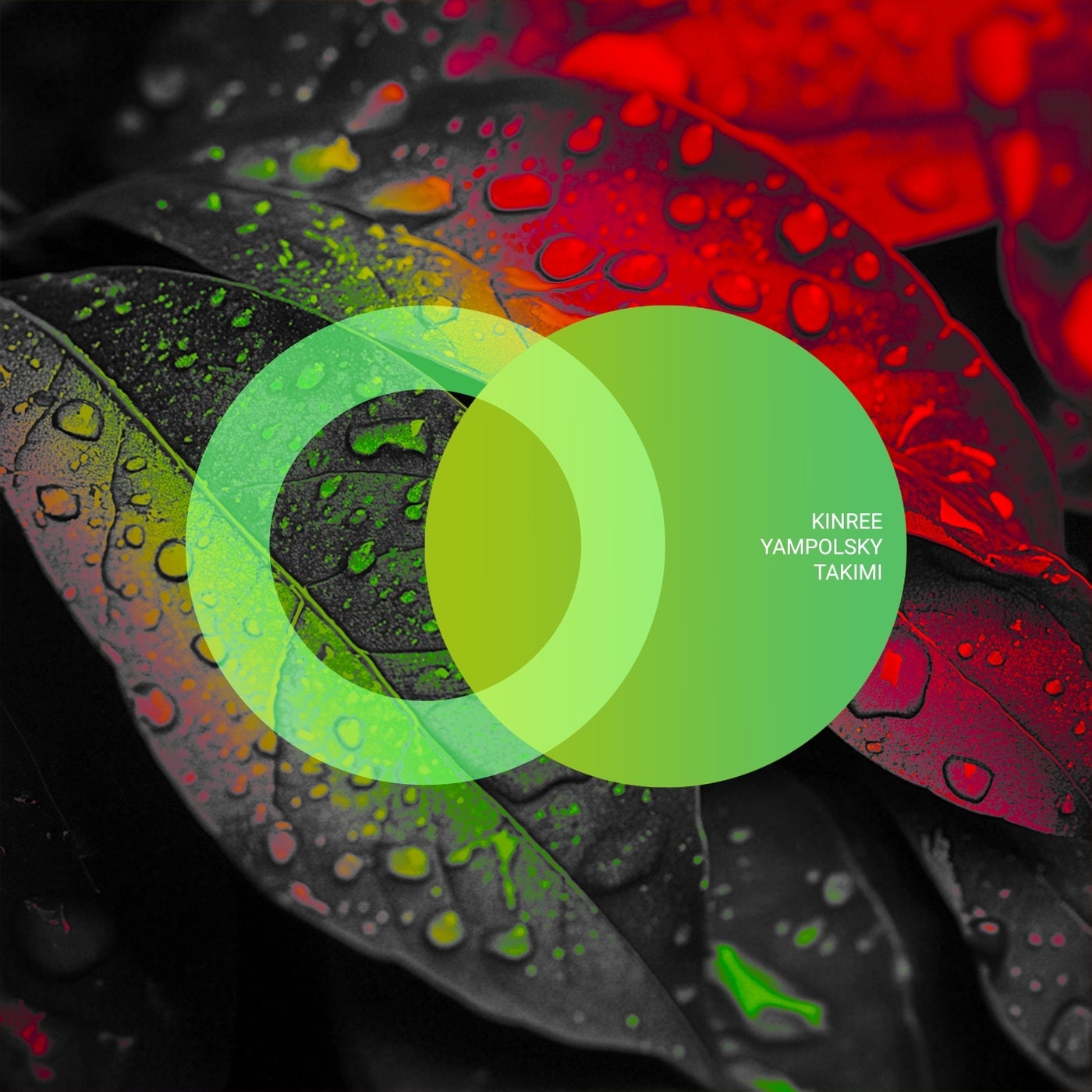 Kinree, YampolSky - Into The River (Original Mix)
