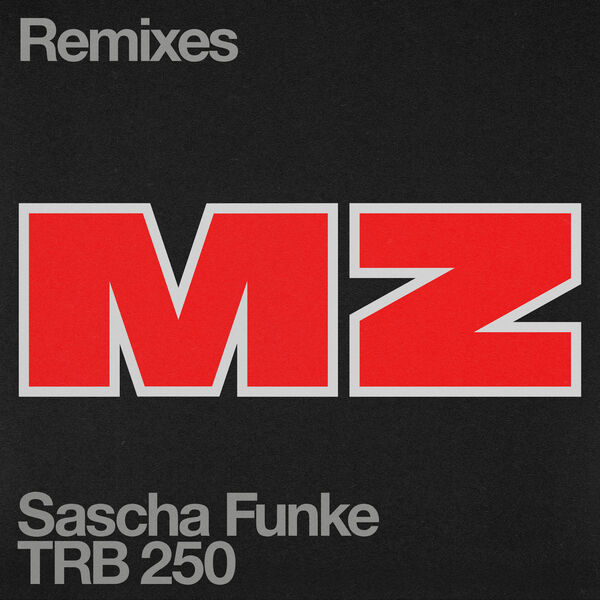 Sascha Funke - MZ (Roman Flügel Remix)