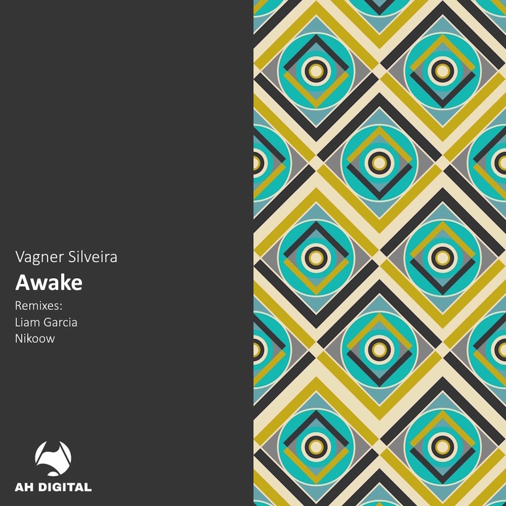 Vagner Silveira - Awake (Original Mix)