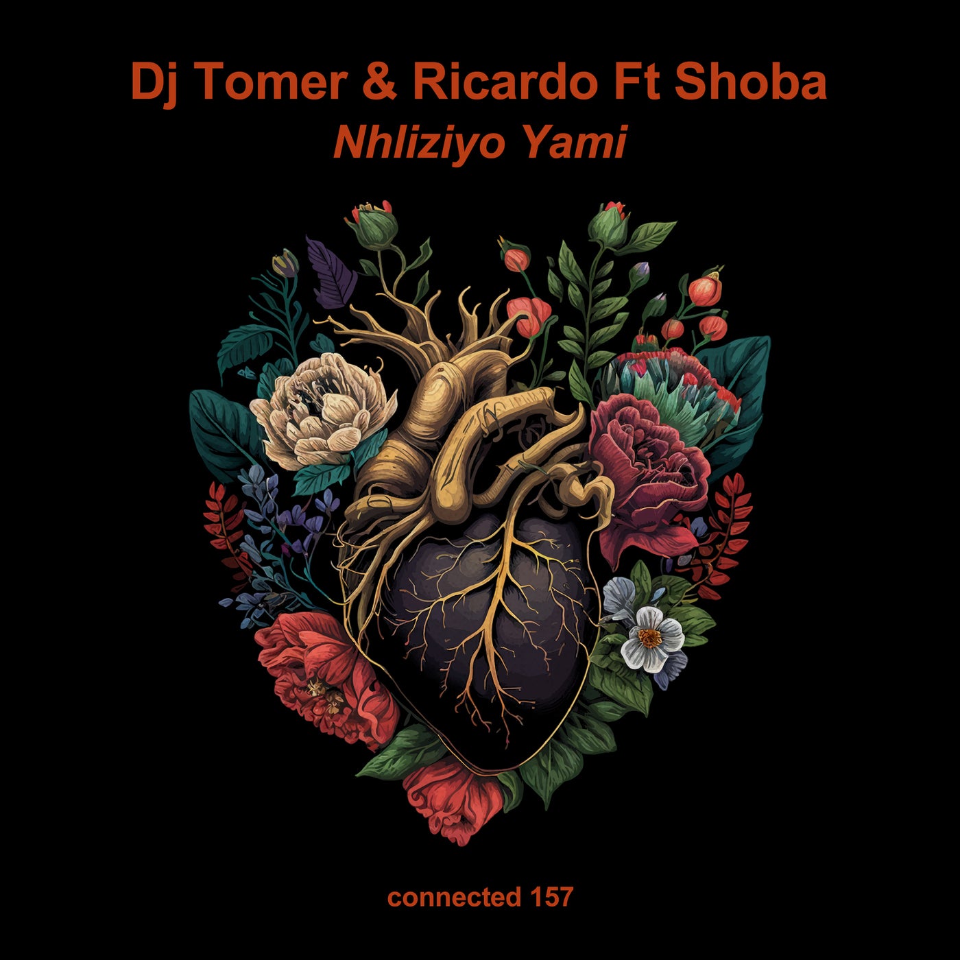 DJ Tomer, Ricardo & Shoba - Nhliziyo Yami (Original Mix)