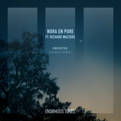 Nora En Pure & Richard Walters - Protected (SAFARIS Extended Remix)