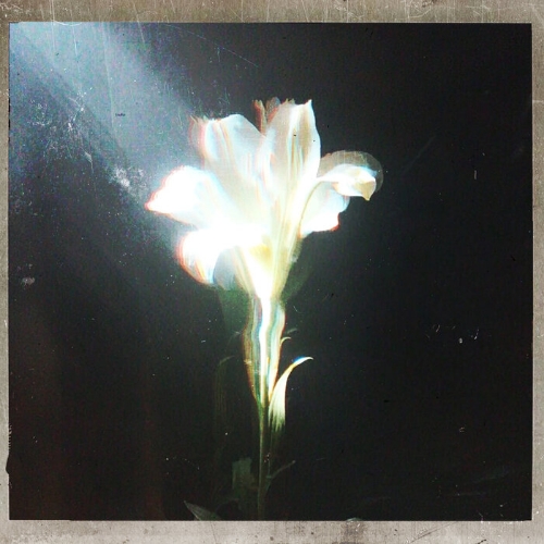 Netsky & Bebe Rexha - Light That Leads Me (Original Mix)