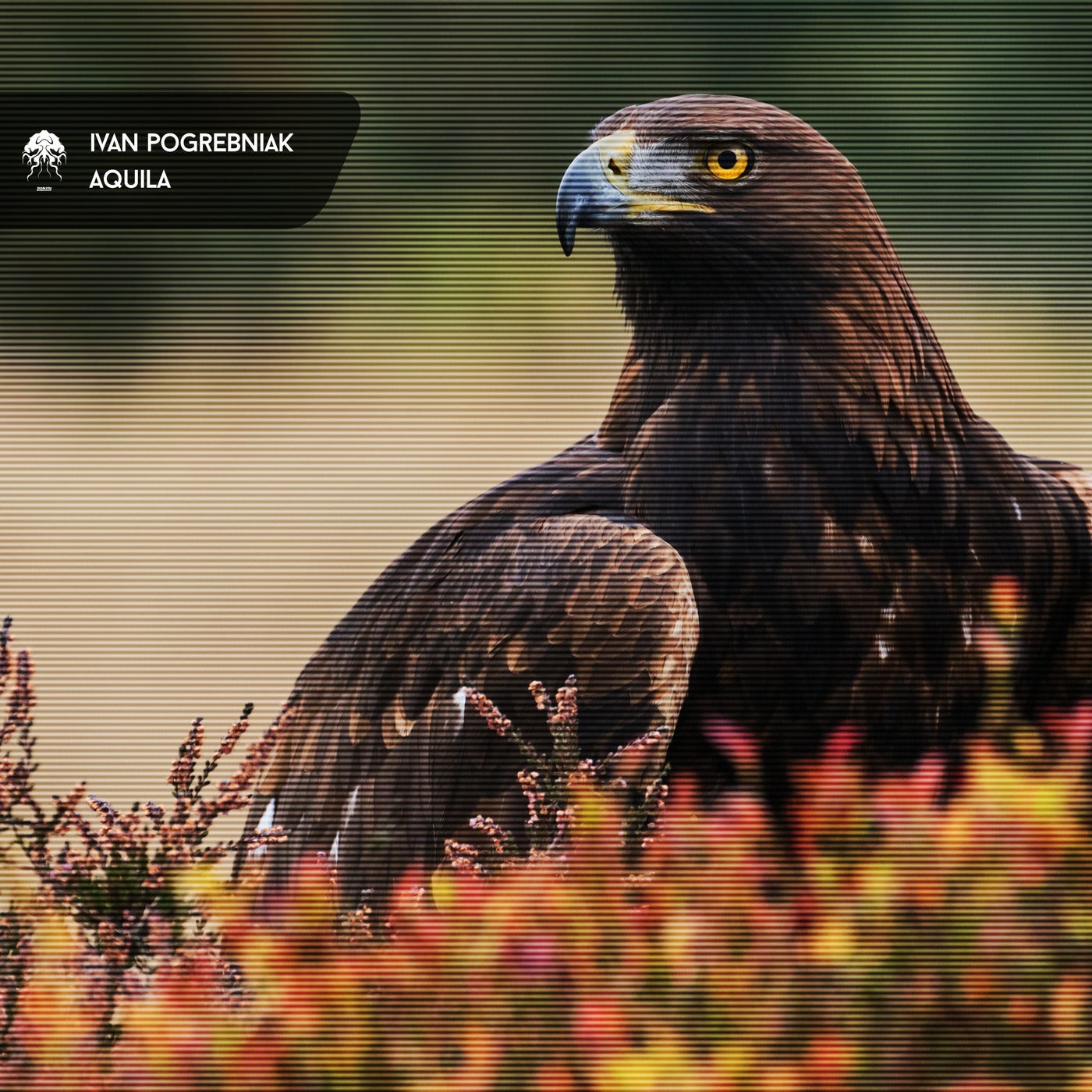 Ivan Pogrebniak - Avalanche (Original Mix)