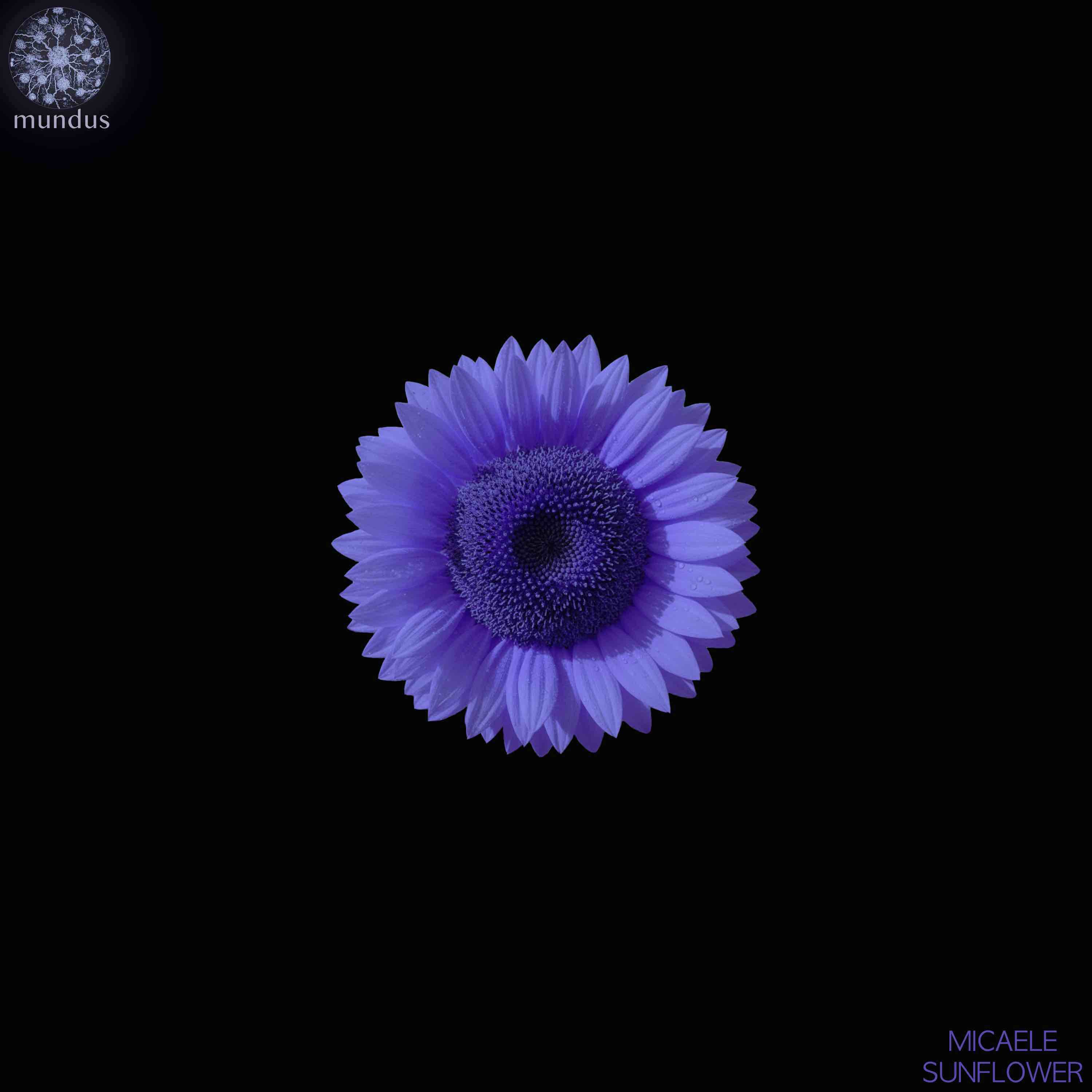 Micaele - Sunflower (Extended Mix)