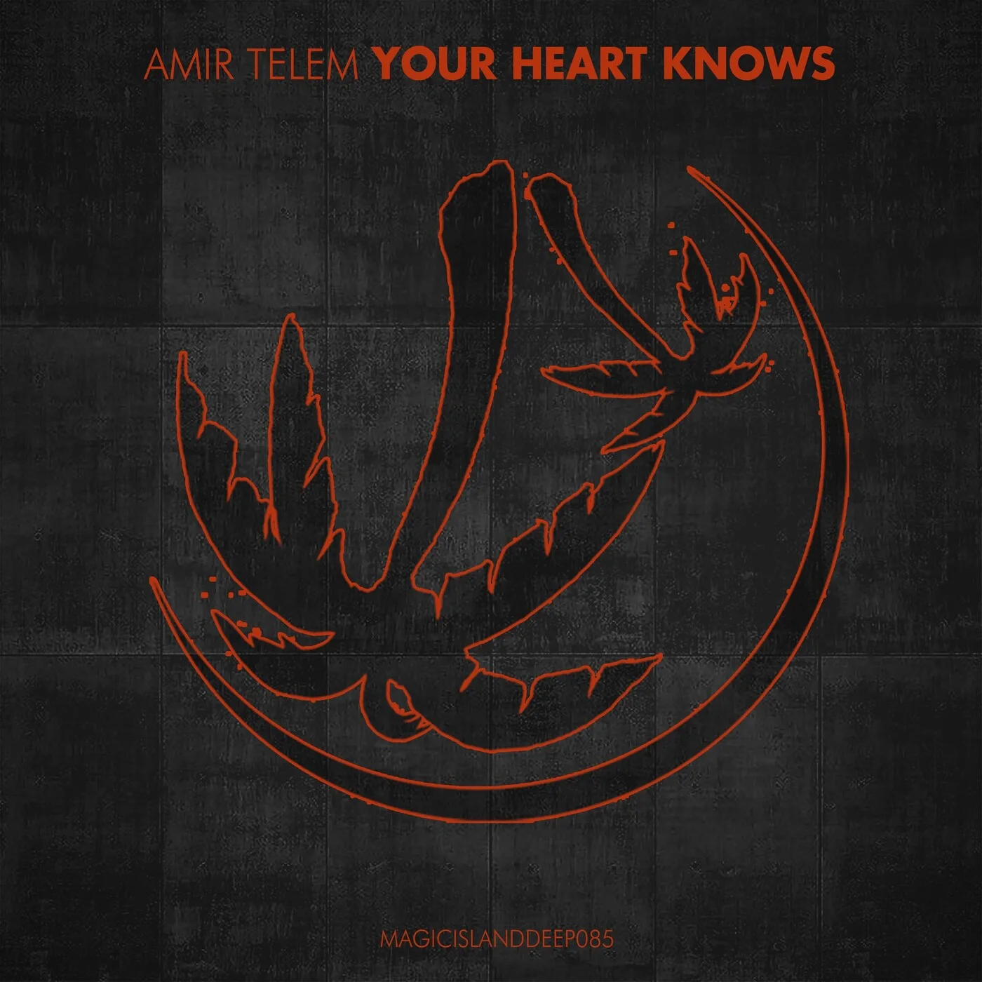Amir Telem - Your Heart Knows (Extended Mix)