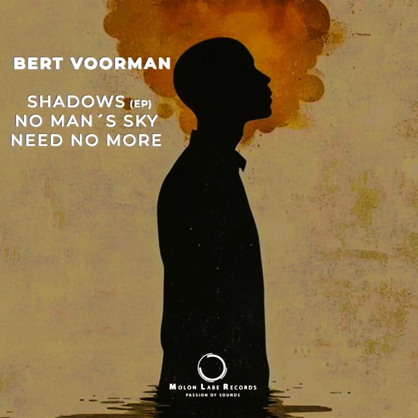 Bert Voorman - Need No More (Original Mix)