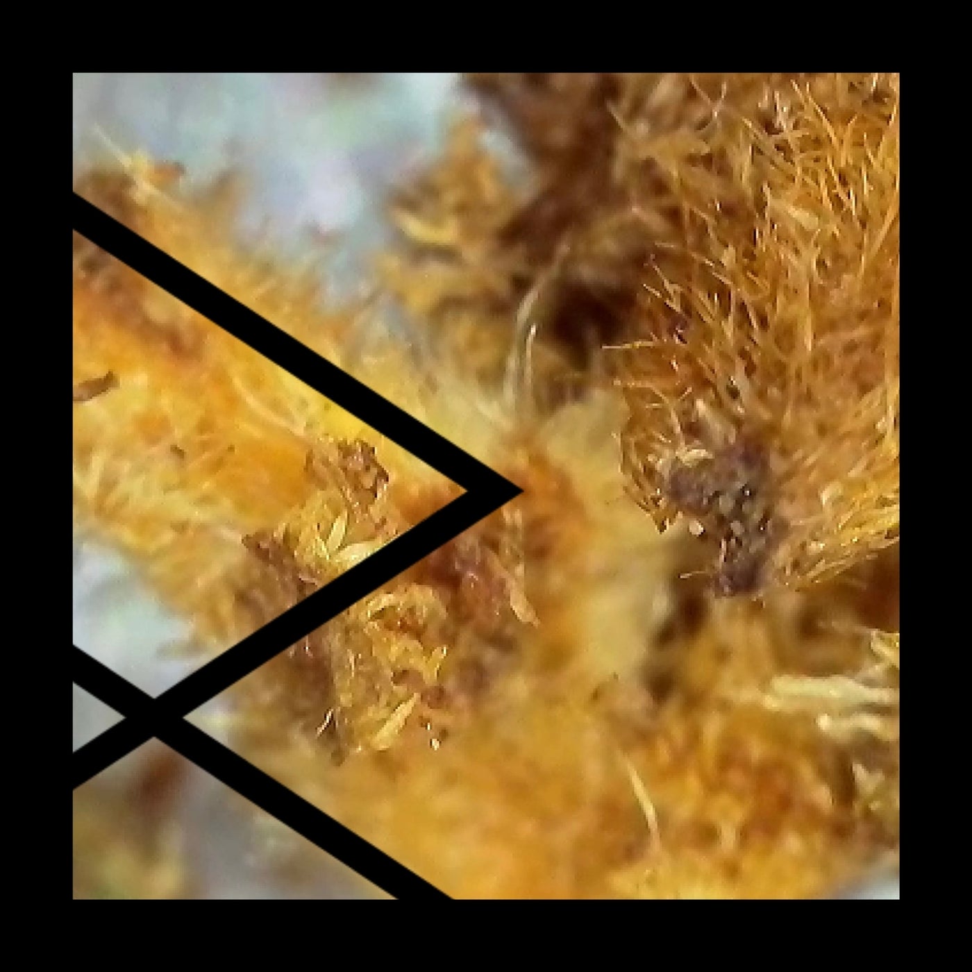 Remcord - Mr Green LFO (Original Mix)