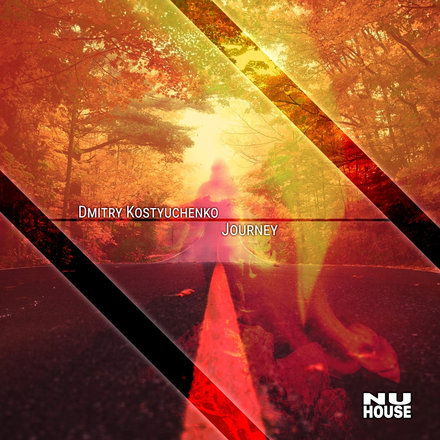 Dmitry Kostyuchenko - Journey (Original Mix)