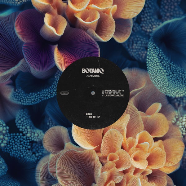 KOKO.IT - The Gift (Of Life) (Original Mix)