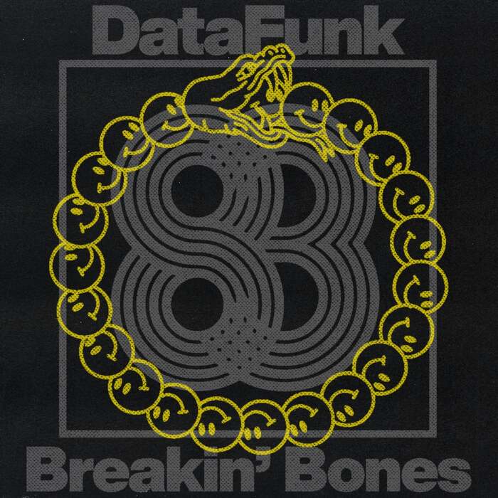 DataFunk - Breakin' Bones (Original Mix)