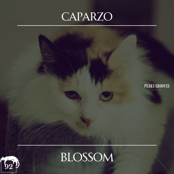 Caparzo - Blossom (Original Mix)