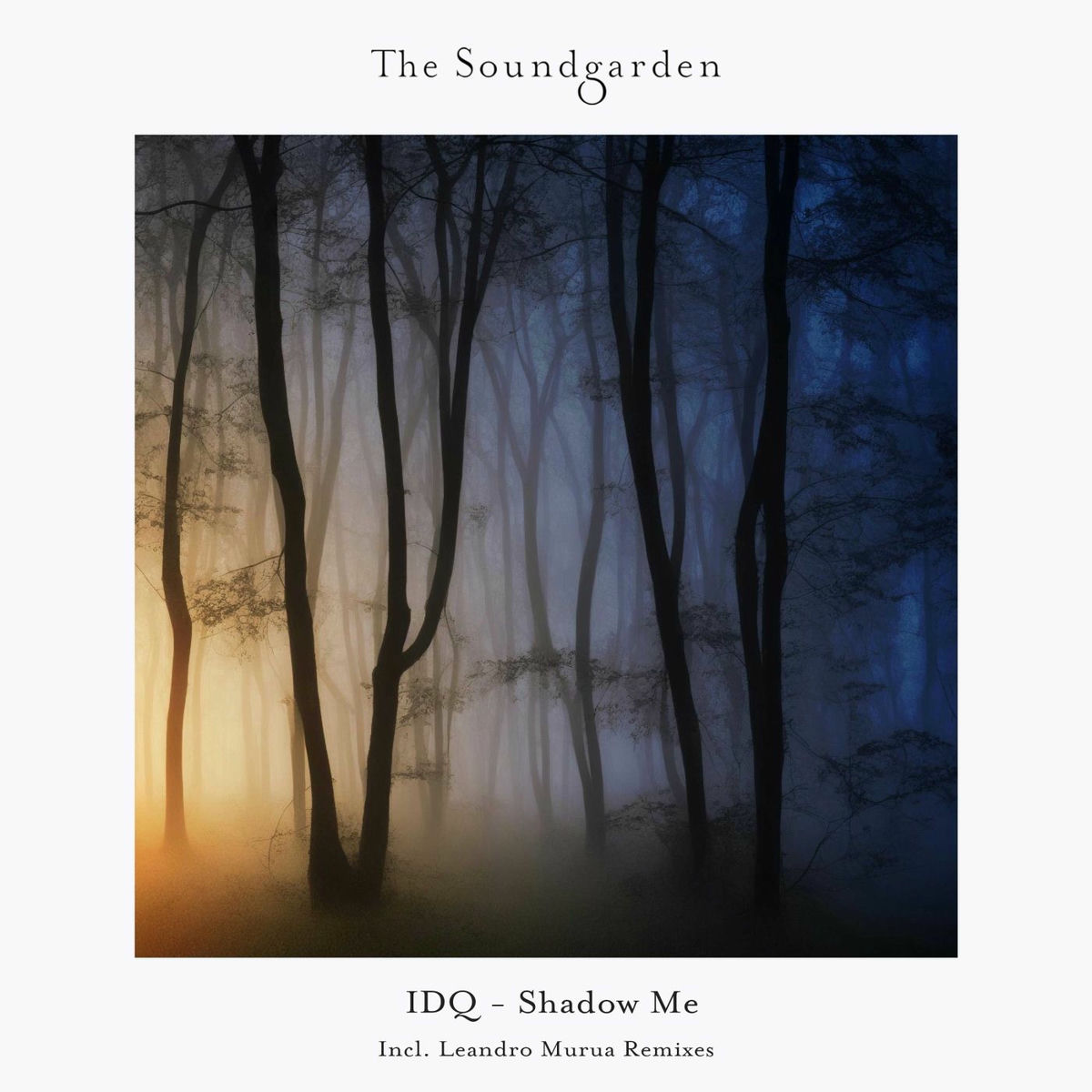 IDQ - Shadow Me (Leandro Murua Groove Remix)