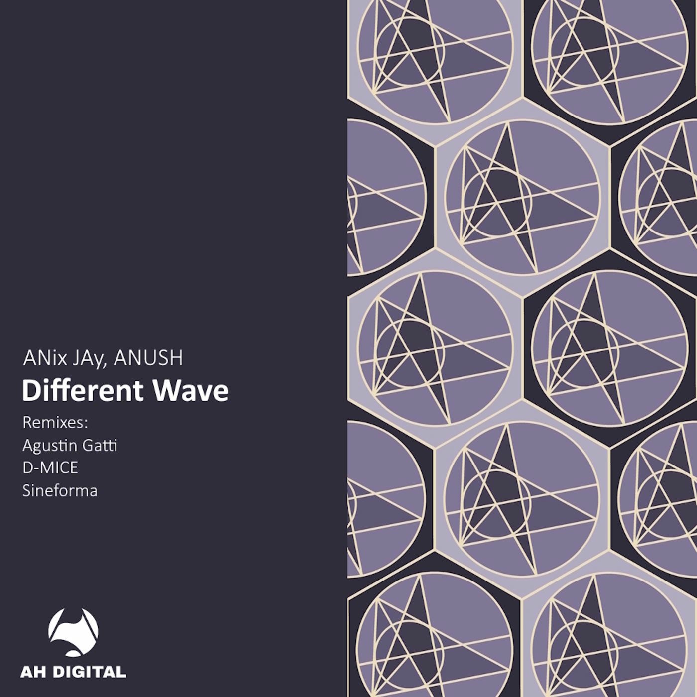 ANix JAy, Anush - Different Wave (Original Mix)