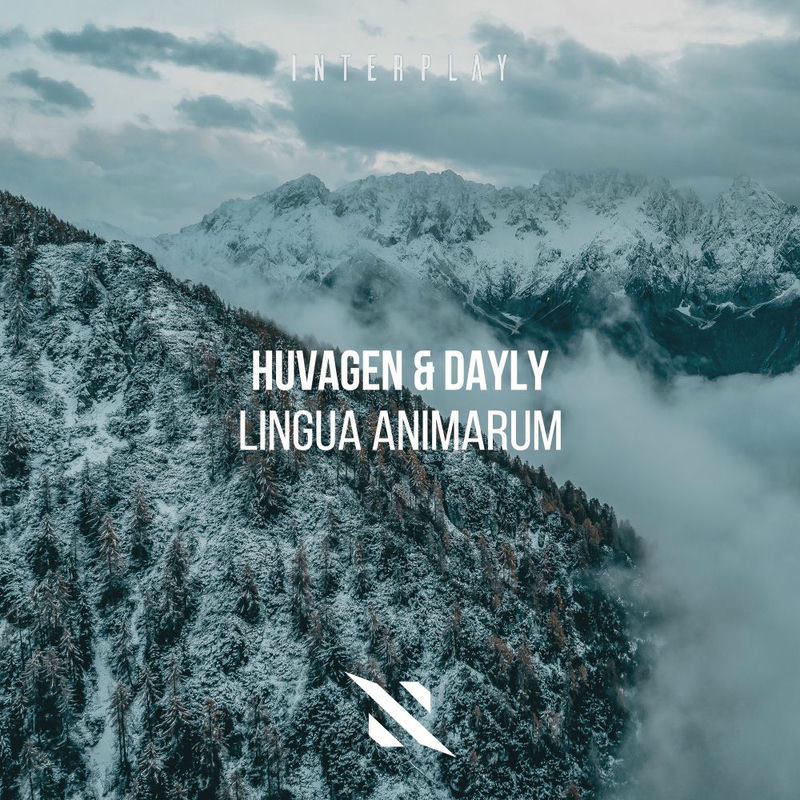 Huvagen & DAYLY - Lingua Animarum (Extended Mix)