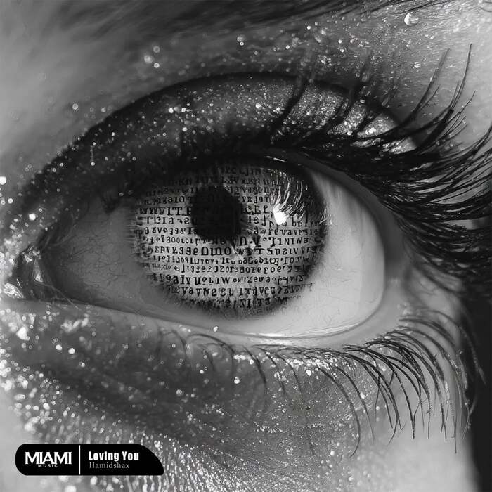 Hamidshax - Loving You (Original Mix)