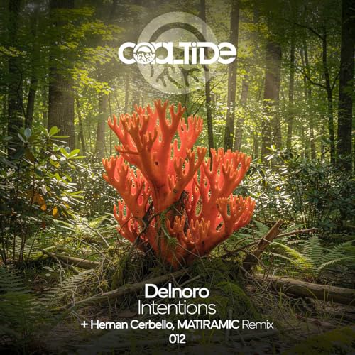 Delnoro - Intentions (Hernan Cerbello, MATIRAMIC Remix)