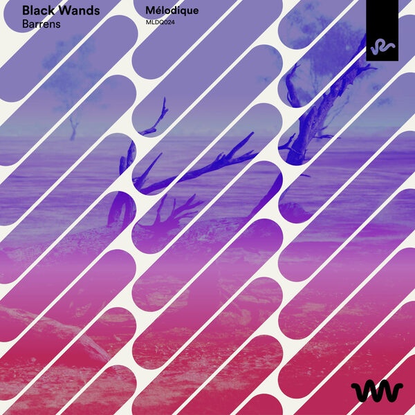 Black Wands - Barrens (Extended Mix)